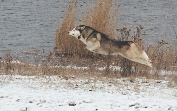 Свободаааа🤪🤣