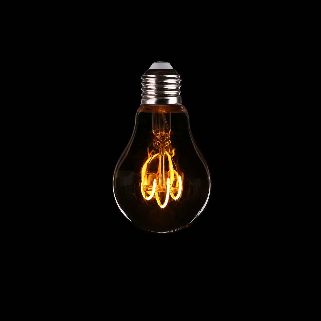 фото с сайта canva