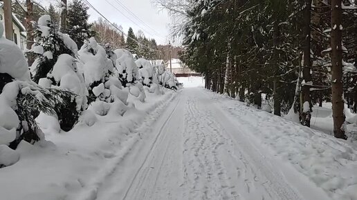 Почему в деревне жить лучше, чем в городе. Покажу явный плюс.