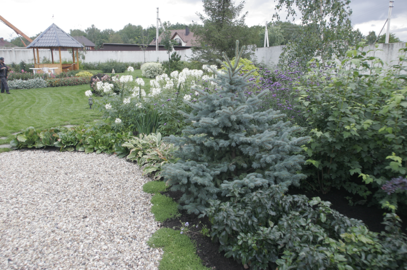    Обрамление посадок. Фото: Из личного архива/ Ольга Воронова