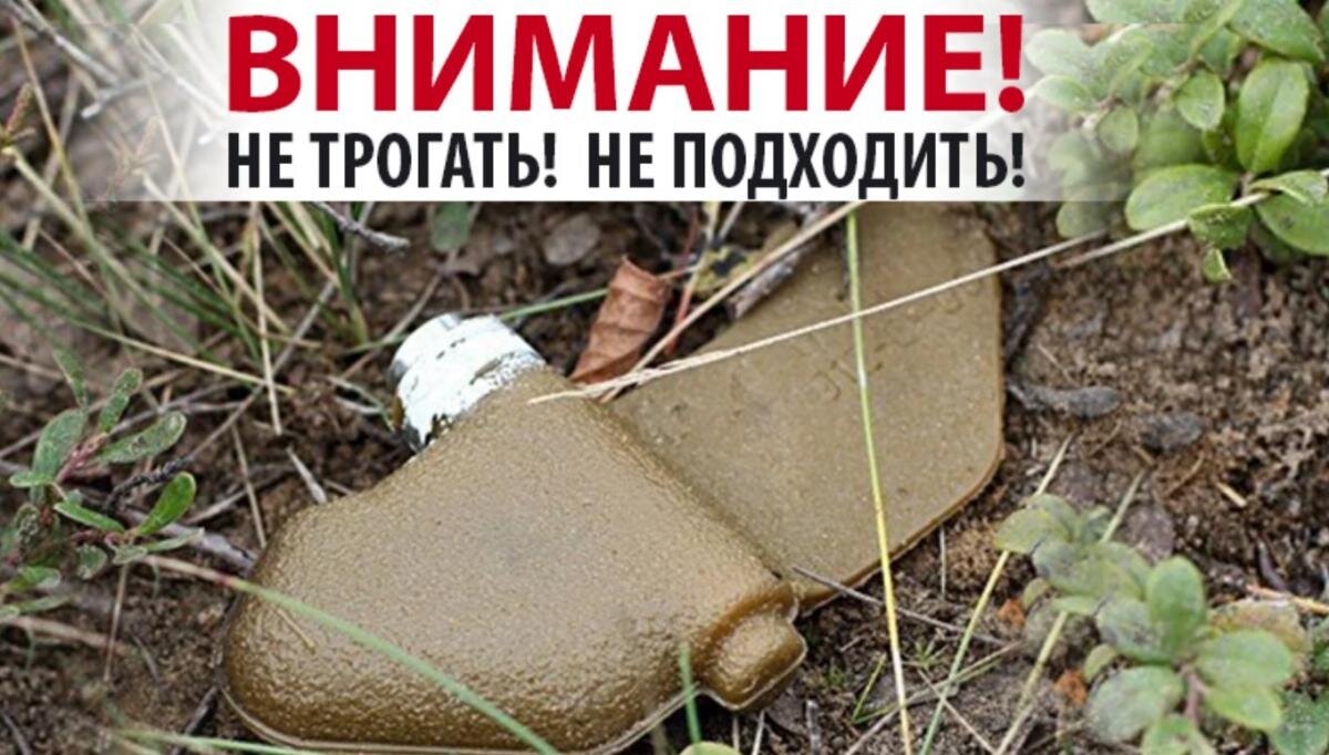 Фото взяты из местный телеграм каналов 