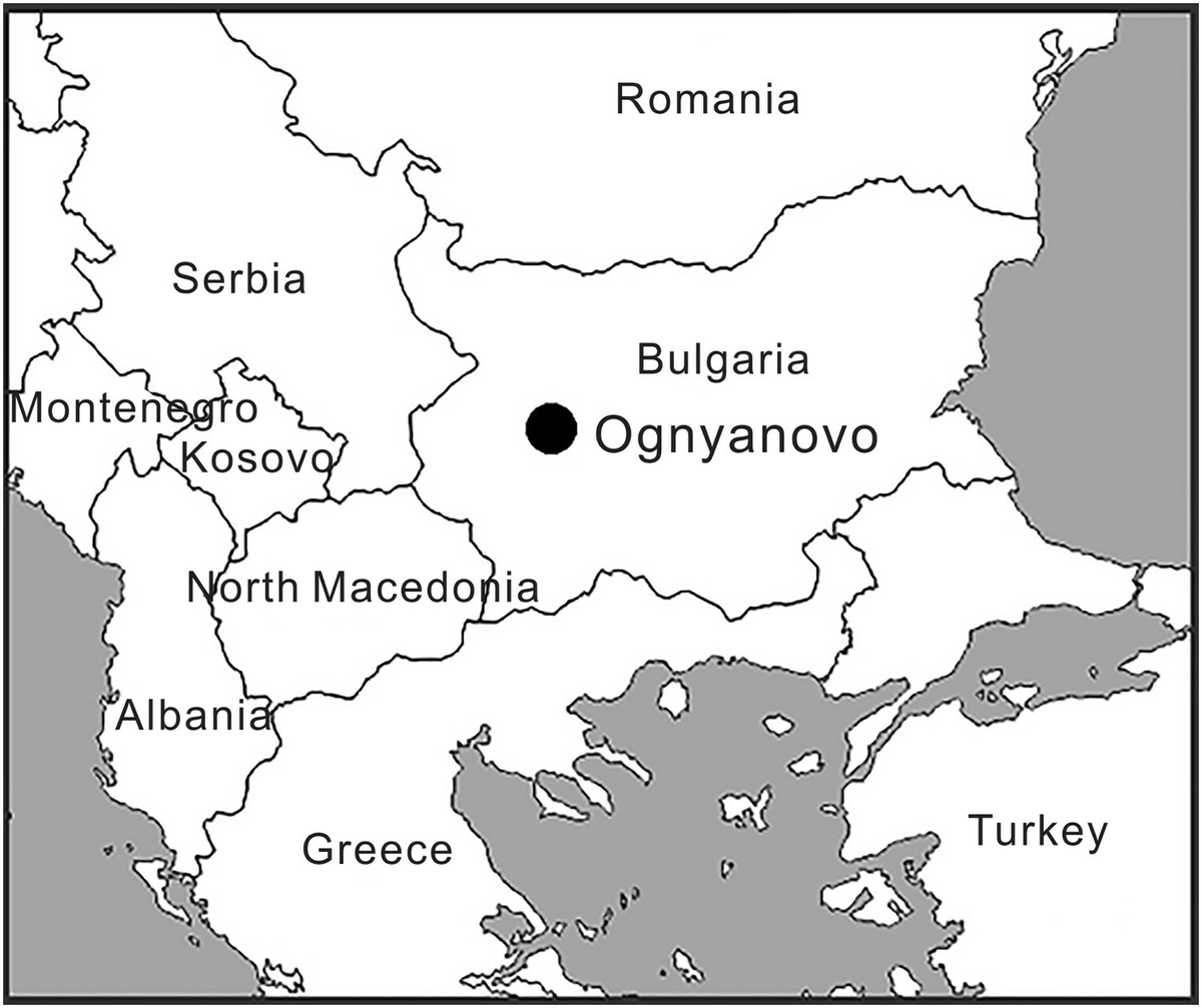 Место обнаружения панды.  