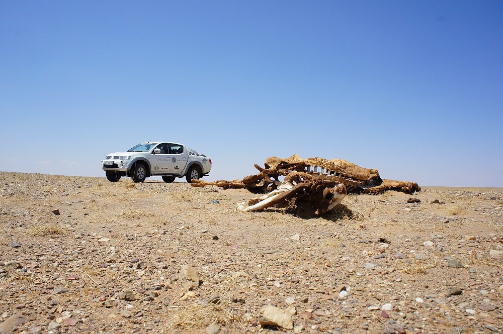 Фото: © Сардар С. Сардаров