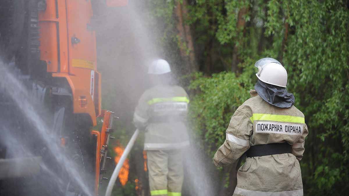    Фото: Пелагия Замятина / Вечерняя Москва