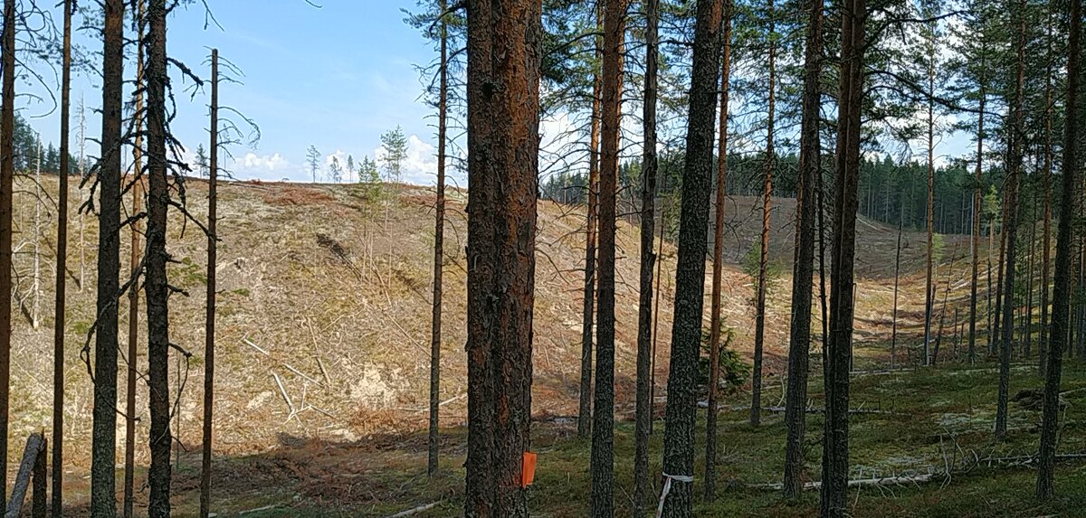 Серьёзно, комок к горлу подступил....