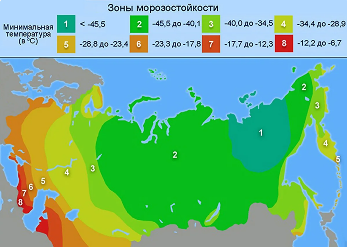 Зоны произрастания. Зона USDA 4 зимостойкости. Карта зон морозостойкости USDA