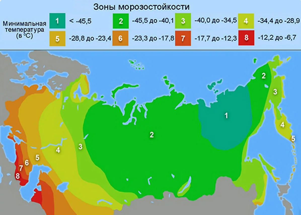 Растения 4 зоны. Зоны зимостойкости растений России на карте. Карта климатических зон России USDA. 4 Зона зимостойкости в России на карте. Зоны морозостойкости USDA В России.