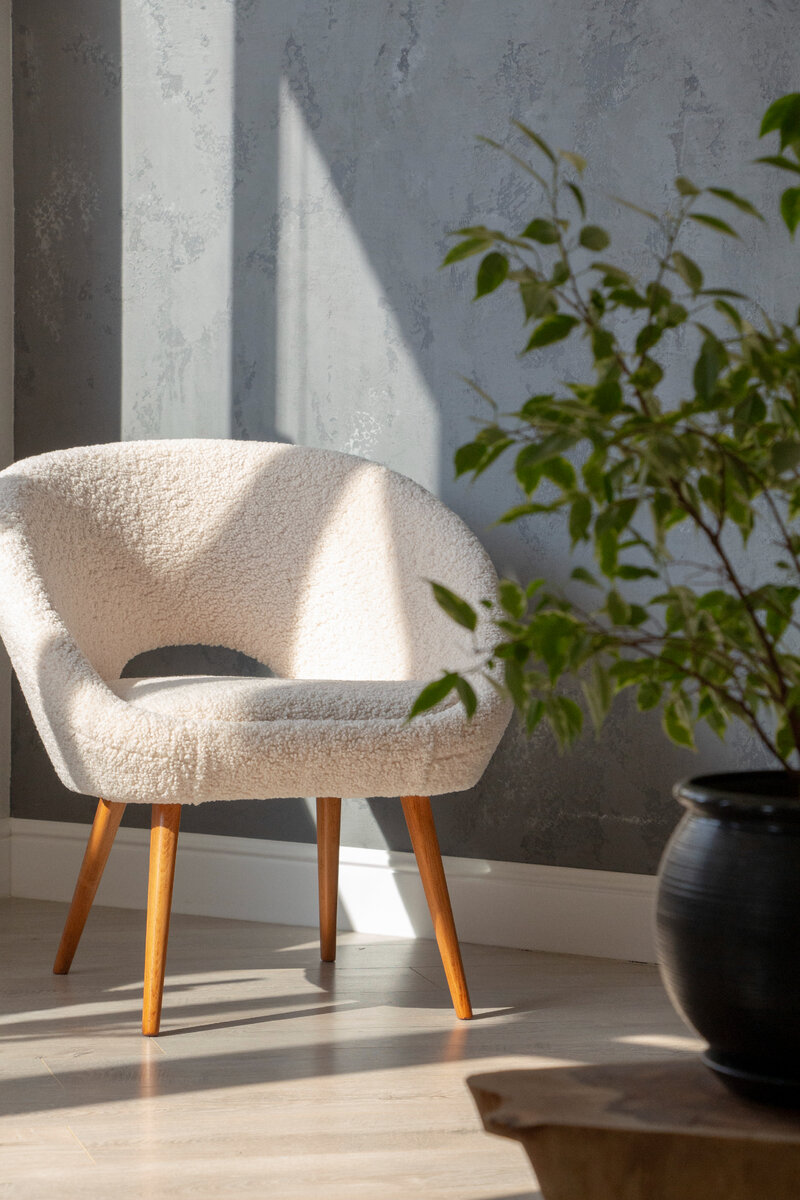 Ракушка после реставрации