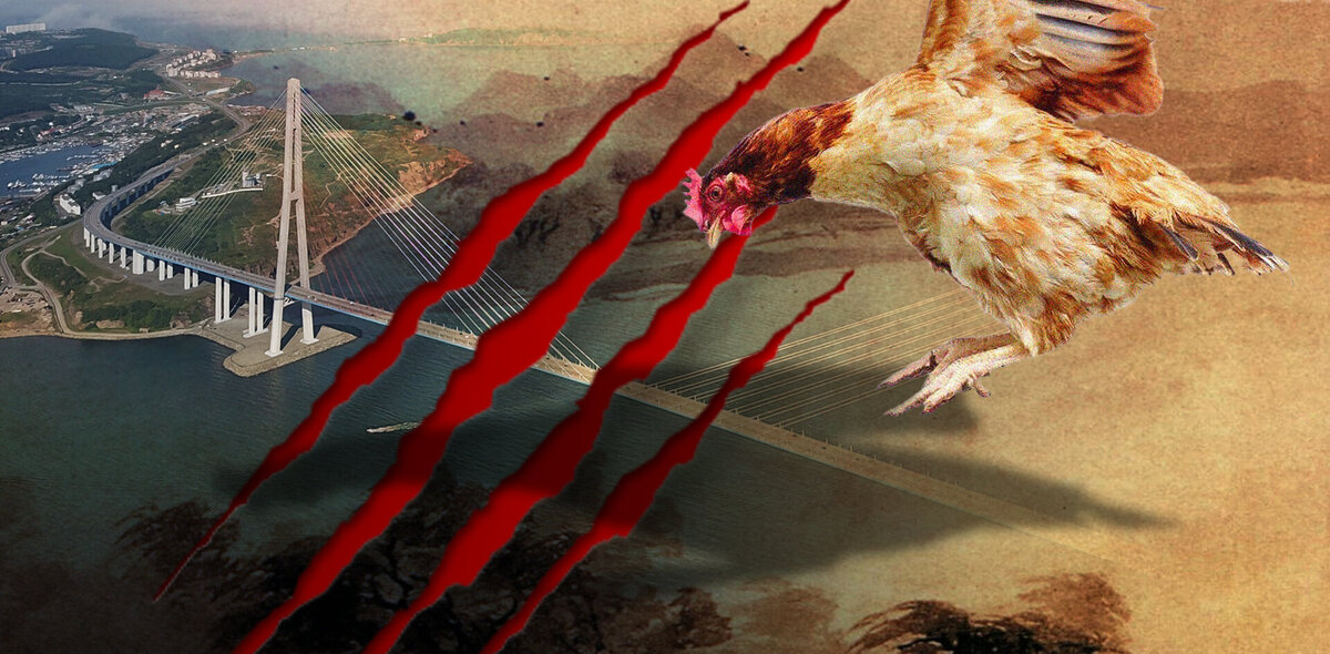 Коллаж: Анна Бабич