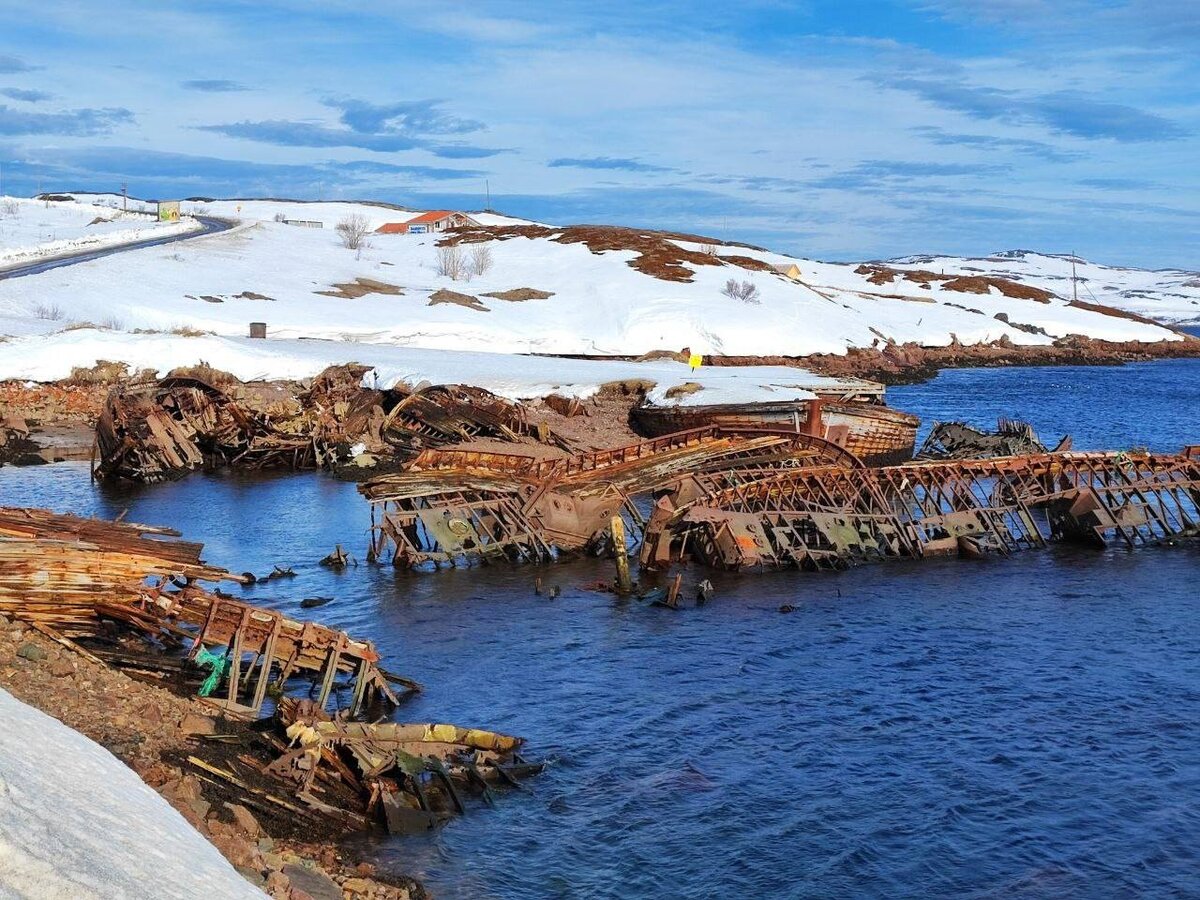 баренцево море летом