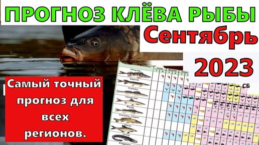 Лунный календарь клева рыбы на Сентябрь 2023 года. Календарь клева рыбы на  сентябрь. Прогноз клева | Рыболовные Приключения | Дзен