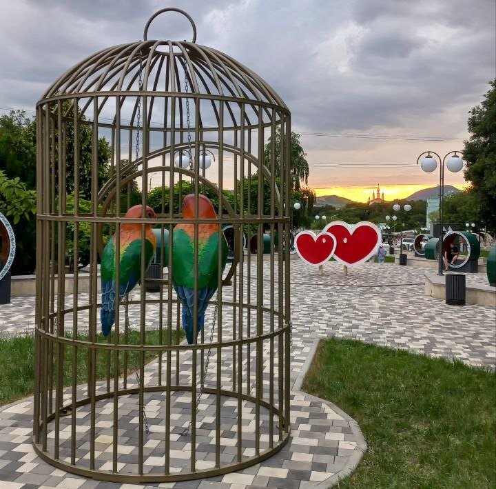 Депрессия - это когда ты как в клетке, когда красота вокруг не радует. Фото Дмитрий Колбасин