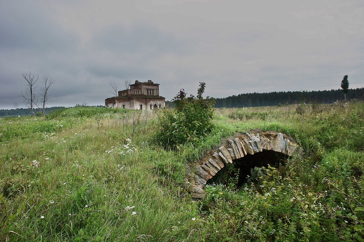 Урочище чижовская дача фото