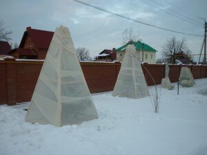 Часто используемый материал, где есть возможность его приобретения. Применяется для окучивания кустов, приствольных кругов, мульчирования грядок и цветников. Для сада годятся только древесные описки и стружка, а не из ДСП, ДВП и т. д. – они содержат химические добавки.