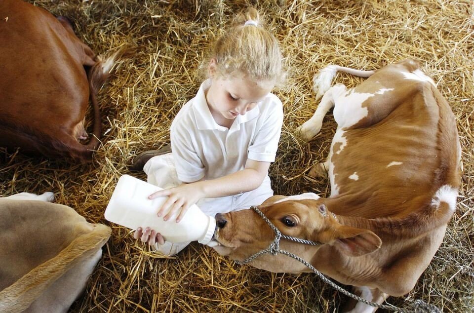 Фото из источника Яндекс Картинки