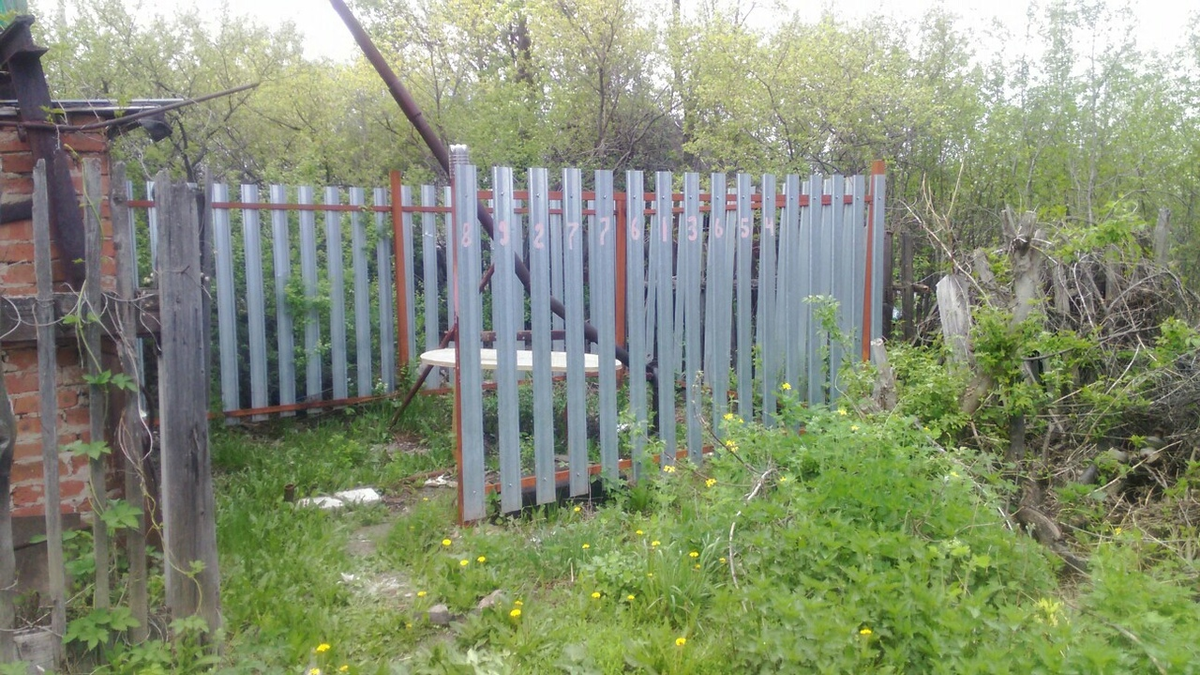  так стало в этом году