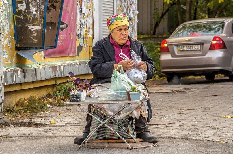 Бабушкам, чтобы торговать продуктами с огорода, касса не нужна. Фото pixabay.com