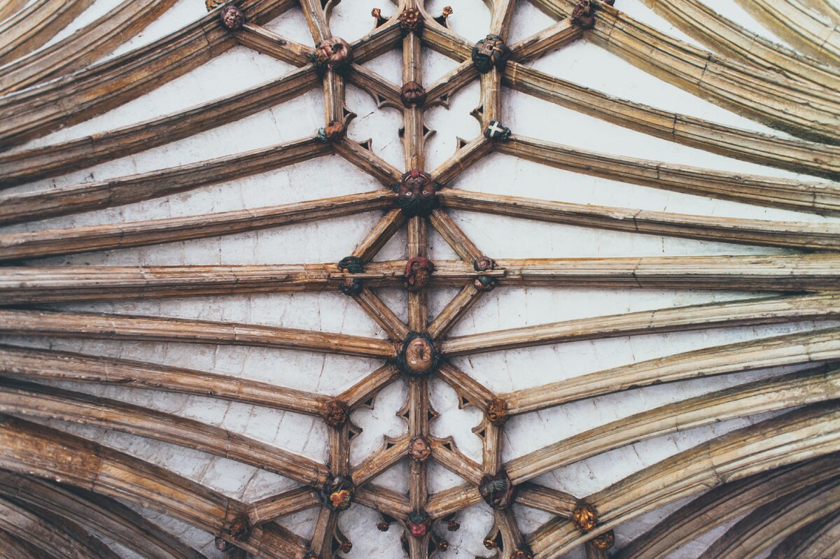 Photo by Anna Popović on Unsplash