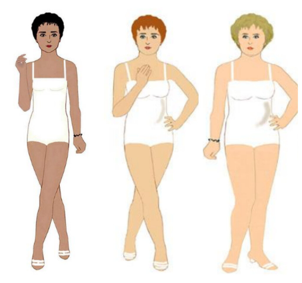 стилевой типаж ларсон. типажи ларсон фигуры. типажи двин ларсон. стилевой типаж ларсон. типаж романтик двин ларсон.