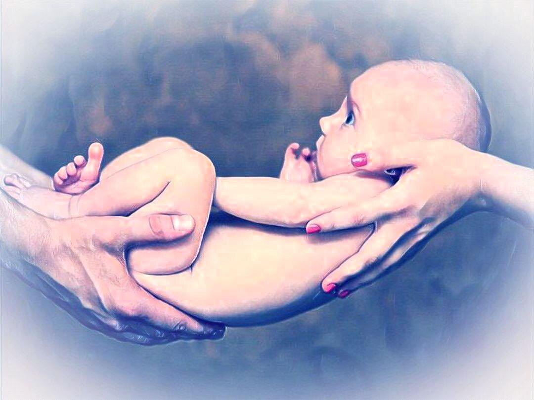 Яндекс. Картинки