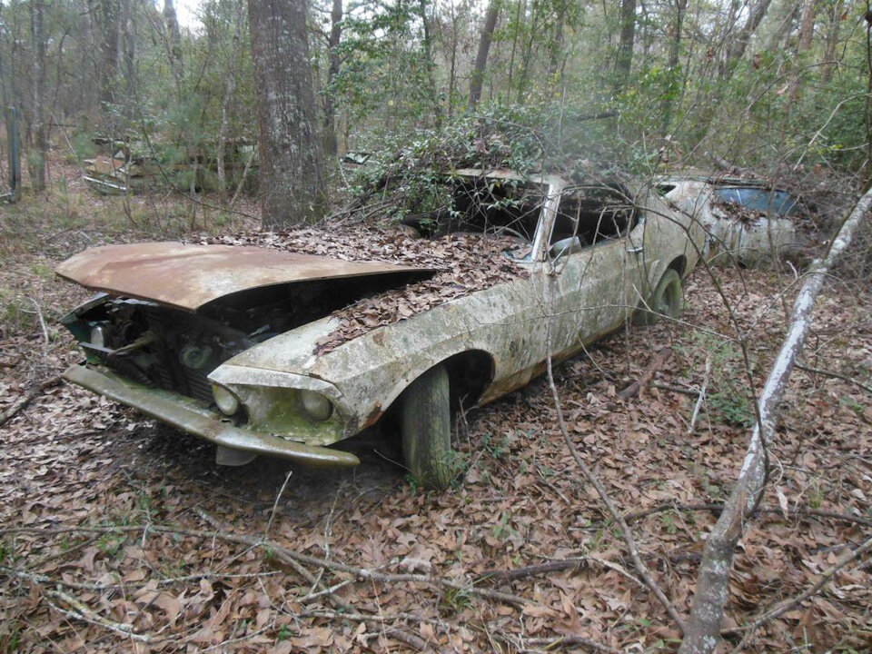 красный яр забайкальский край полигон. полигон химическая казань. полигон туганы ленинградская область. полигон тбо владивосток. продам полигон.