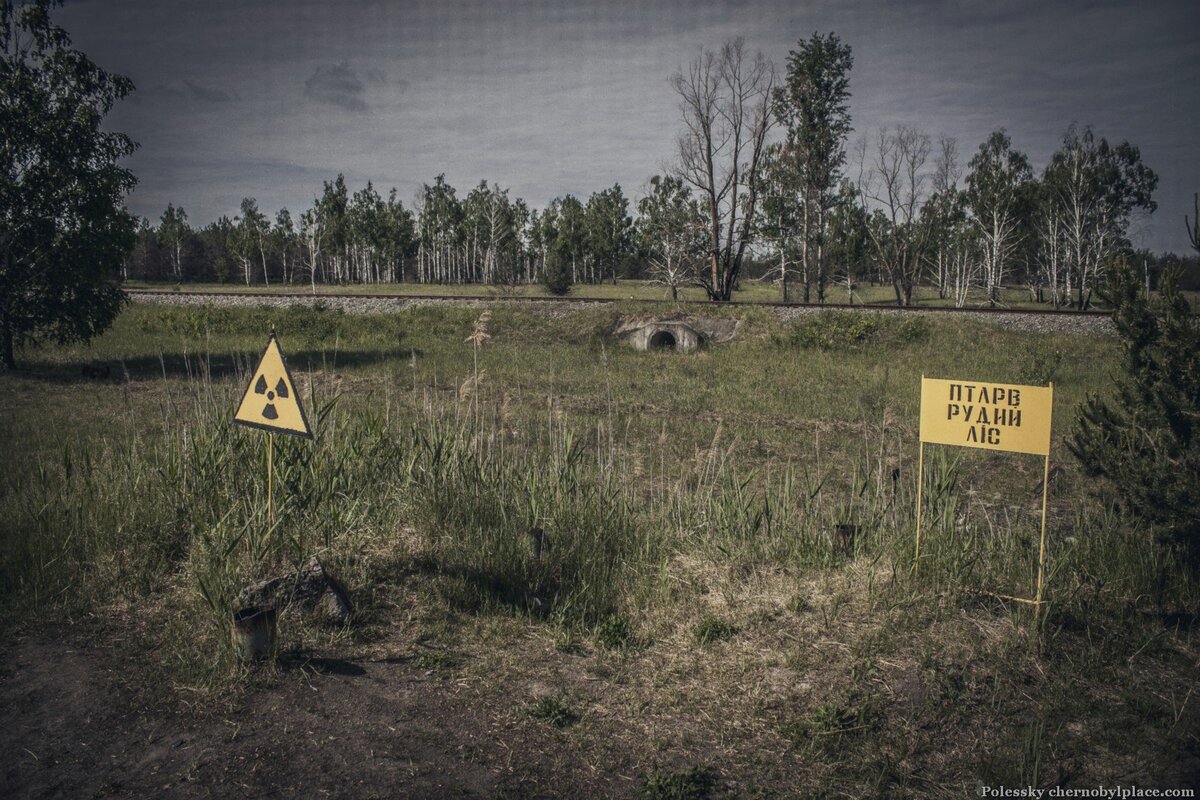 Самые радиоактивные места в чернобыле фото