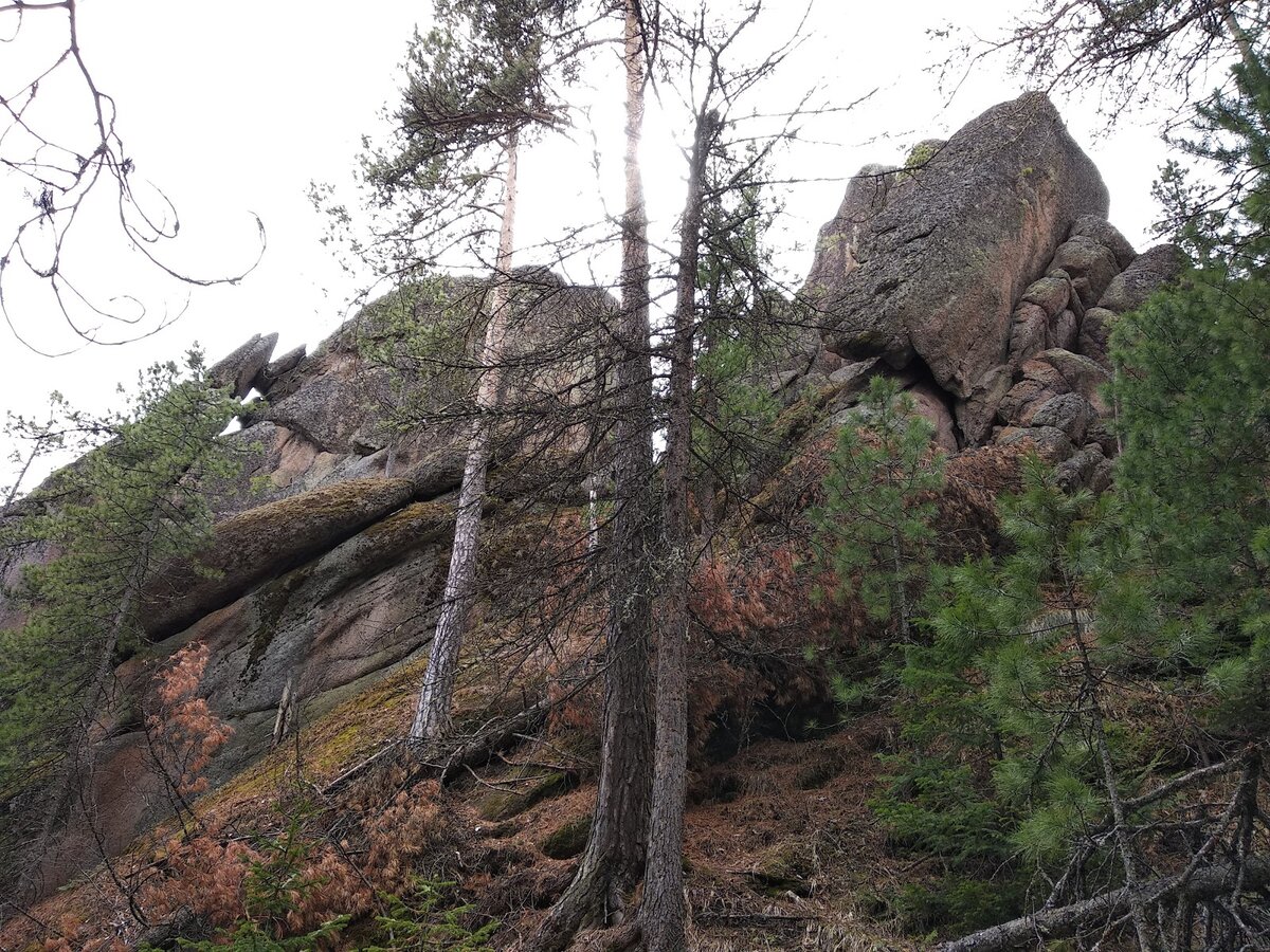 Красноярские столбы скалы снегири. Сова красноярск столбы. Заповедник столбы саяны. Львиные ворота красноярские столбы. Львиные ворота красноярские столбы.
