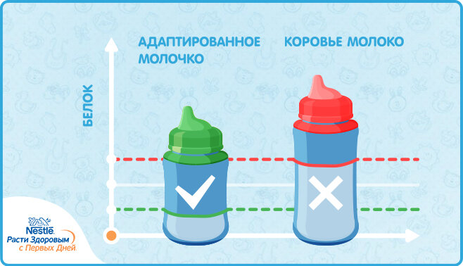 Неадаптированное коровье молоко содержит в 3 раза больше белка, чем рекомендуется ребенку до трёх лет