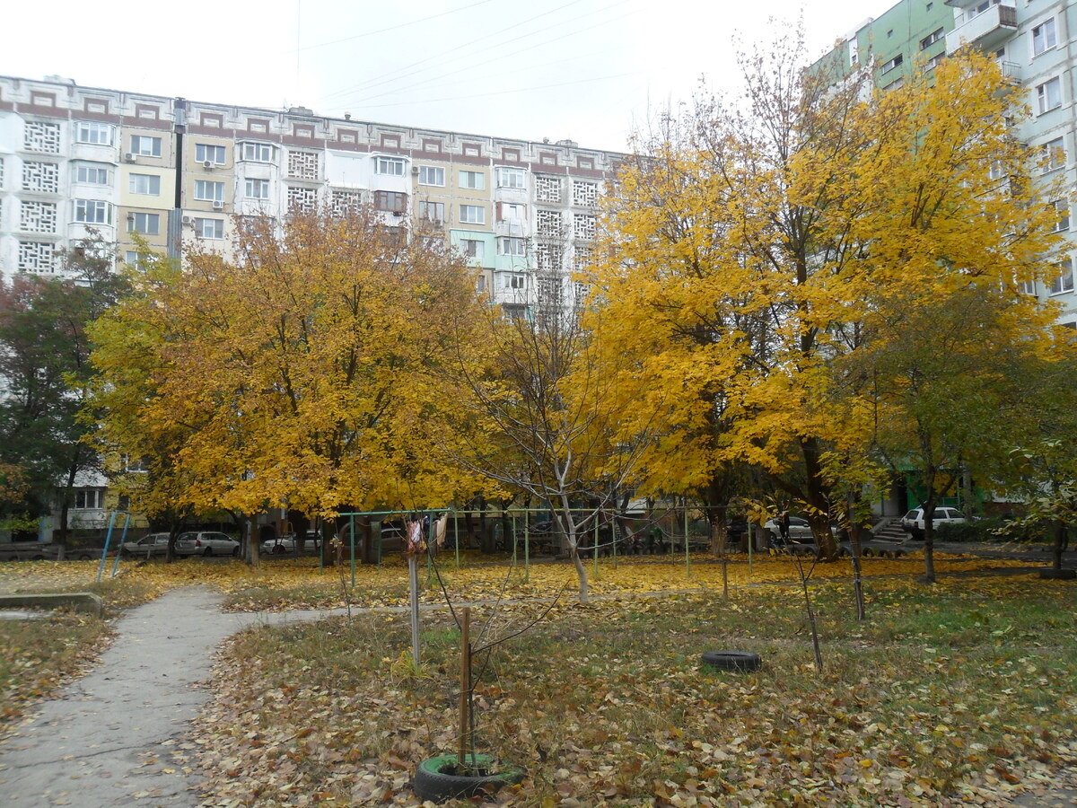 Опадающая листва