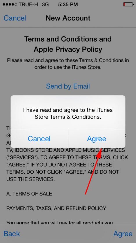 Как писать эпл айди. Как выглядит apple id. Apple id пример. Как выглядит apple id пример. Apple id iphone 13.