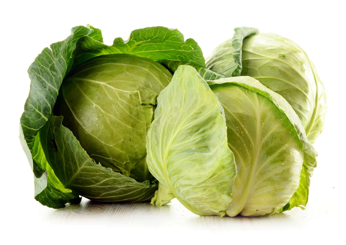 Рис. 1 - Белокочанная капуста в свежем виде.