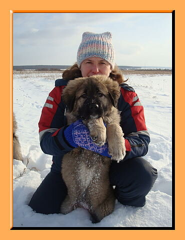 Наш любимый медвежонок