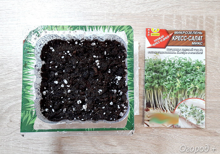 Подготовка к посеву микрозелени