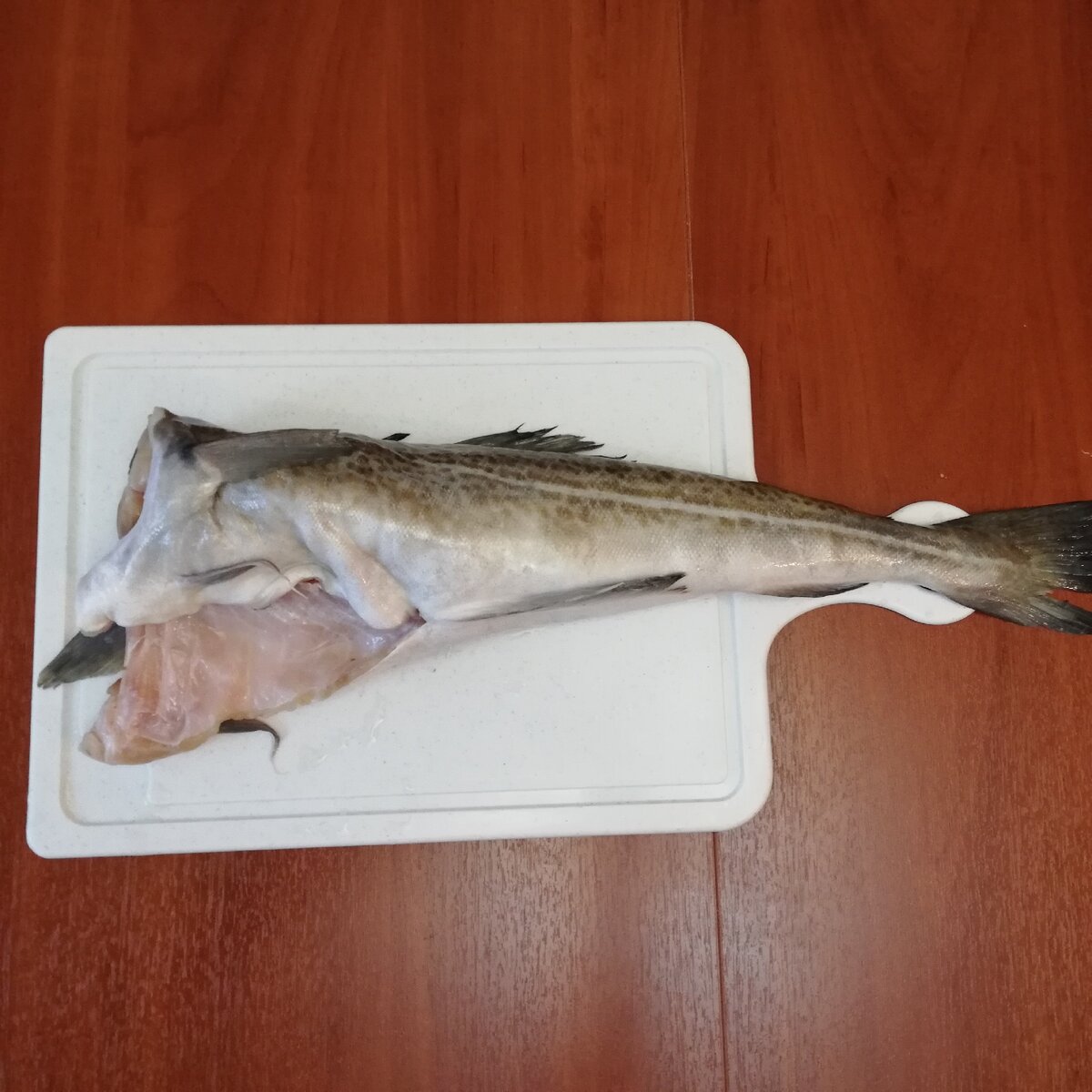 Фото автора / Дзен канала "МаринаД"