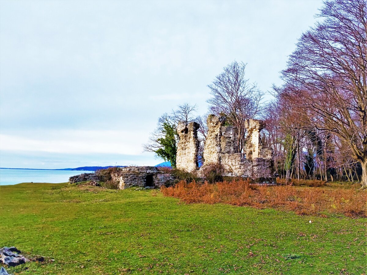 Фото абхазия бамбора абхазия