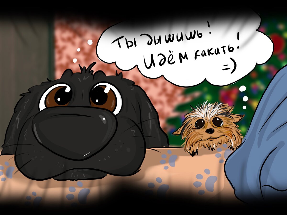 Праздники праздниками, а гулять по расписанию