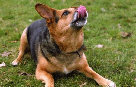 Даже одно быстрое движение языка может иметь эффект успокоения