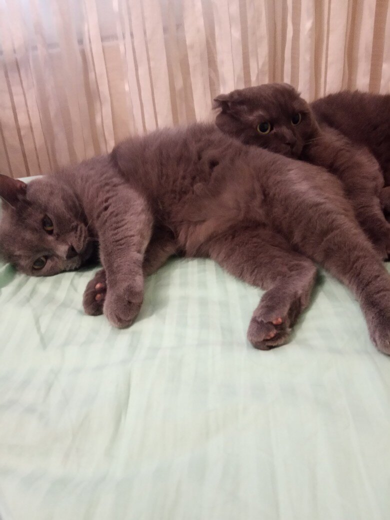 тлен и безысходность