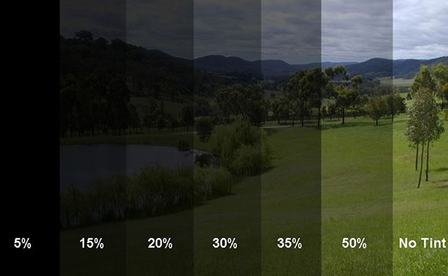 Картинку нашли на просторах Интернета по запросу "Степени тонировки". Не детально, конечно, но представление дает.