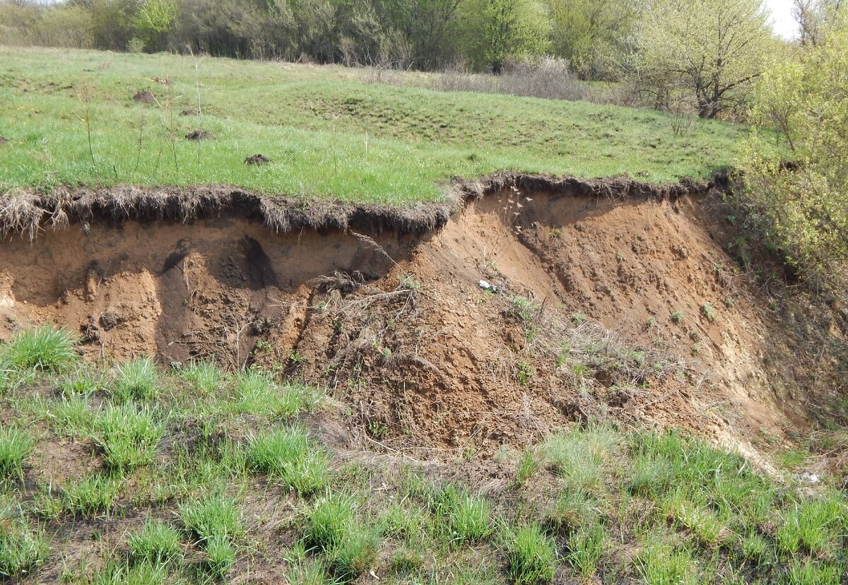 Овраг в природе. В овраге за поселком почва была глинистой. В овраге за поселком почва была глинистой. В овраге за поселком почва была глинистой. В овраге за поселком почва была глинистой.