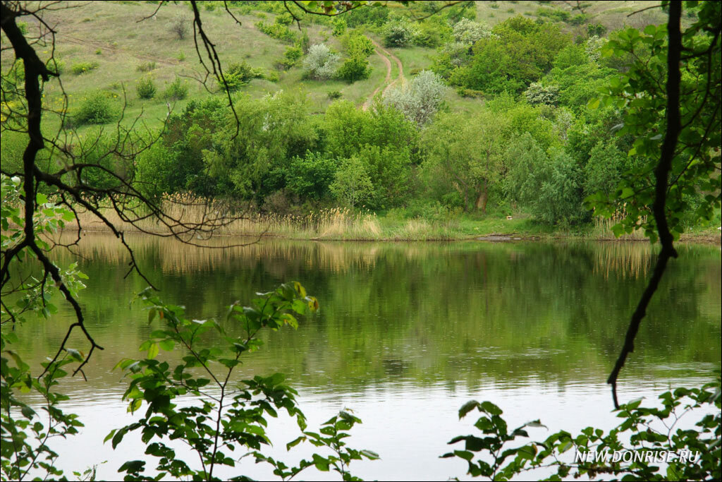 Вода северского донца