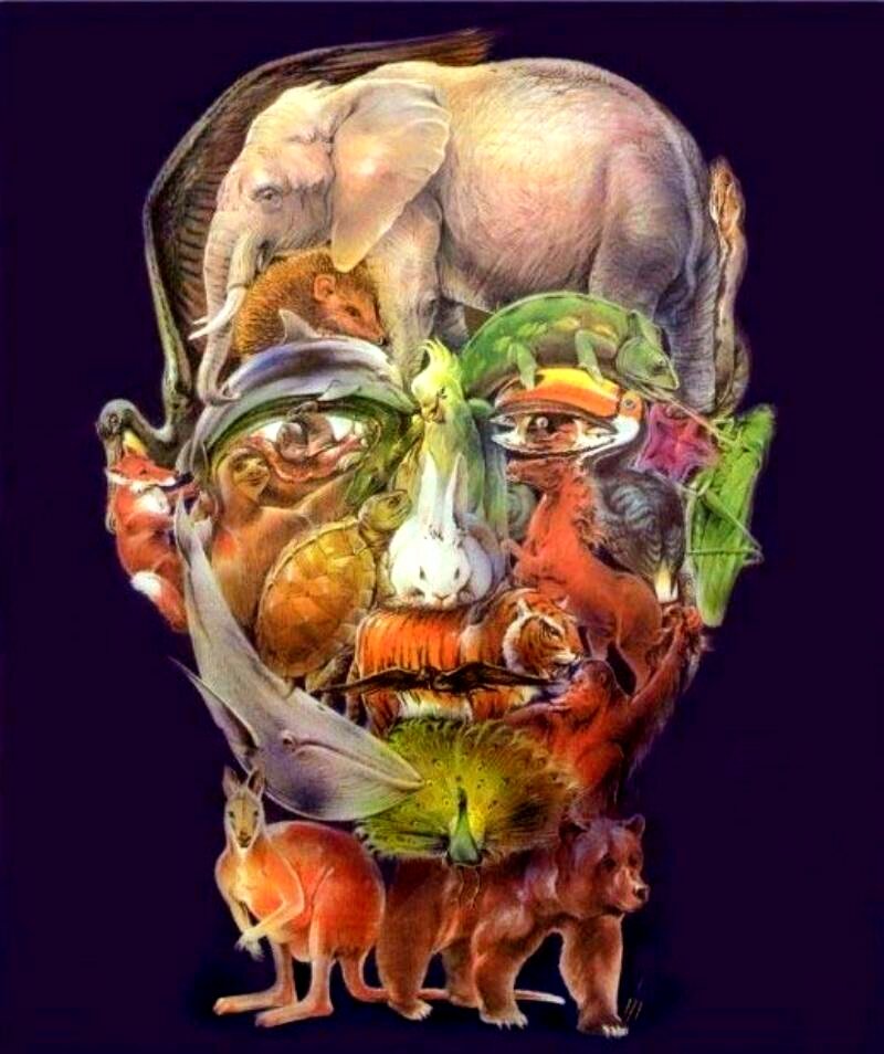 Фото из открытого источника.