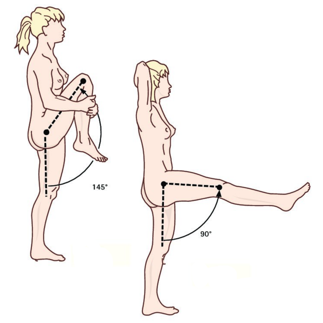 Источник изображения: Яндекс.Картинки