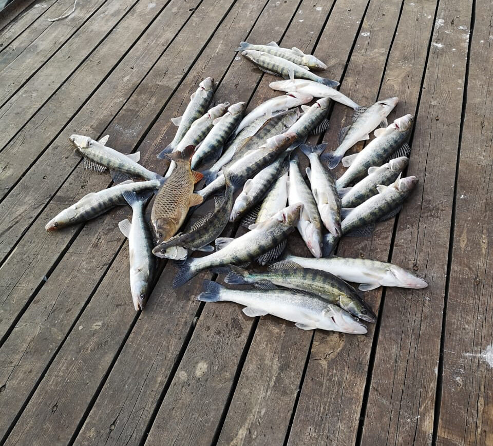 Улов наших гостей в феврале 2020г.