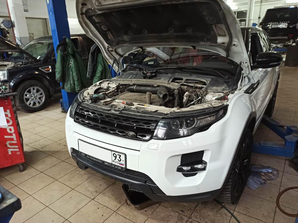 Range rover жидкости. Охлаждающая жидкость Рендж Ровер. Антифриз range Rover Evoque. Охлаждающая жидкость range Rover 2014. Охлаждающая жидкость range Rover Evoque.