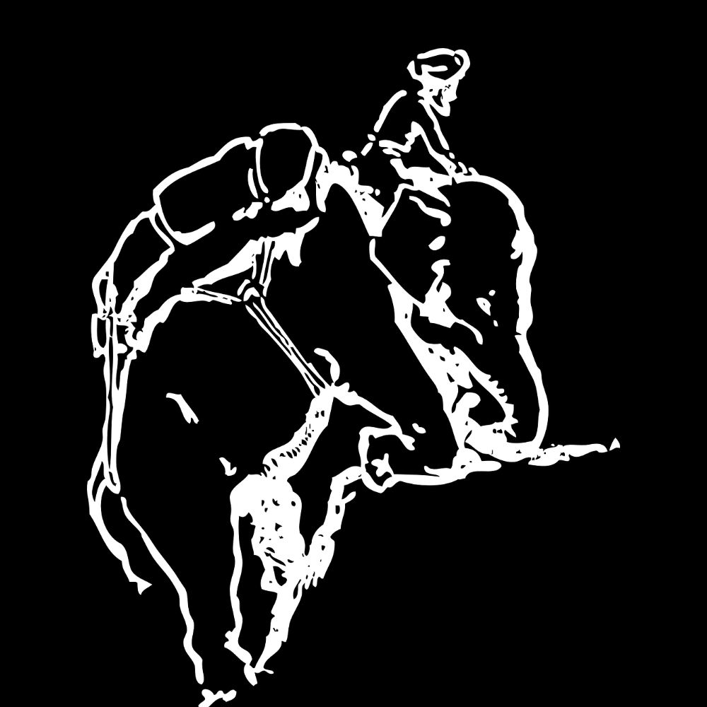 Человек, знающий настоящие веды, едет на ведическом слоне по своим ведическим делам