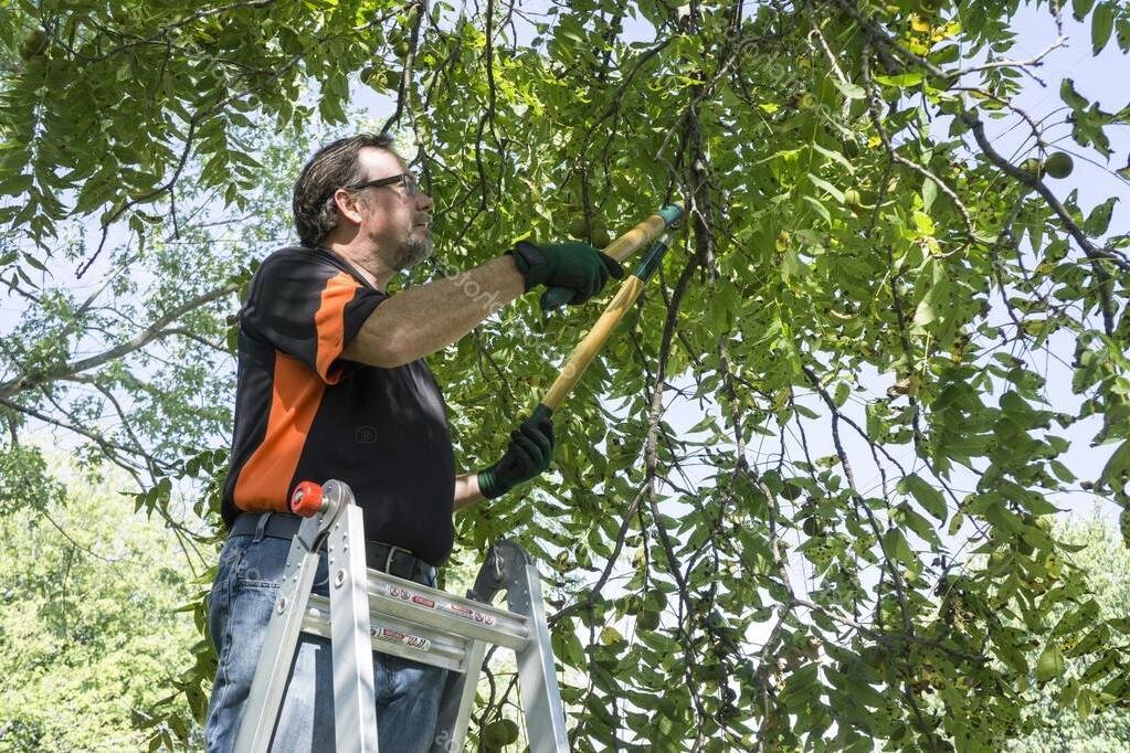 Фото из открытых источников Интернета