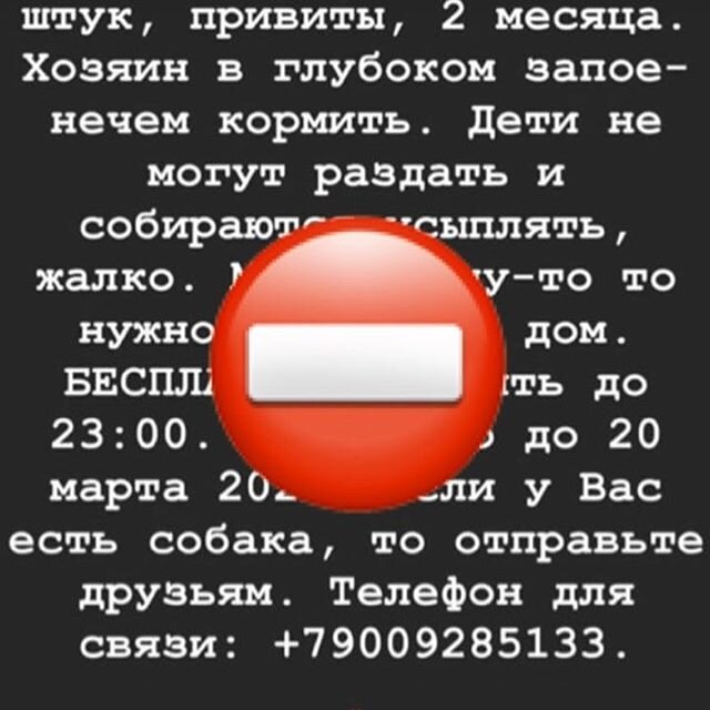 Фото со страницы Husky Help