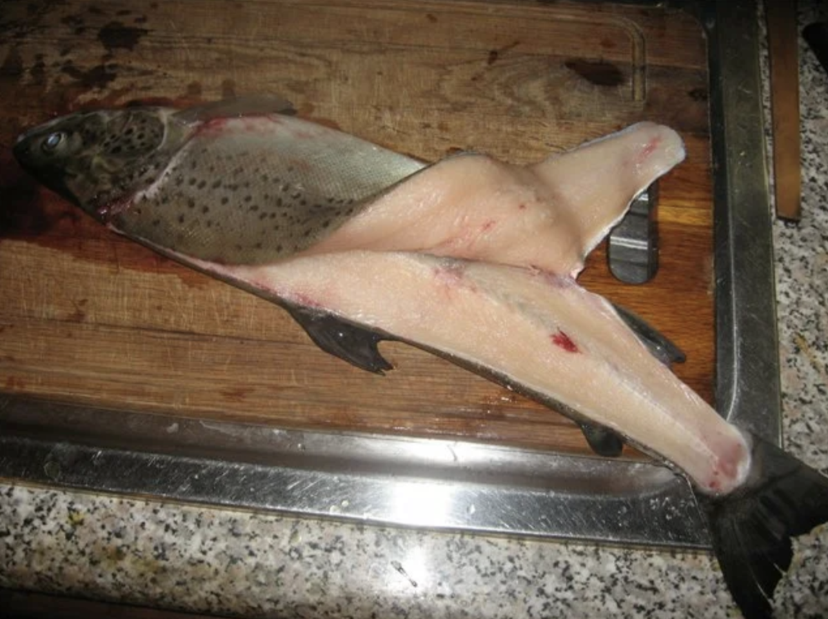 Roasted Whole Trout With Lemon and Herbs Recept