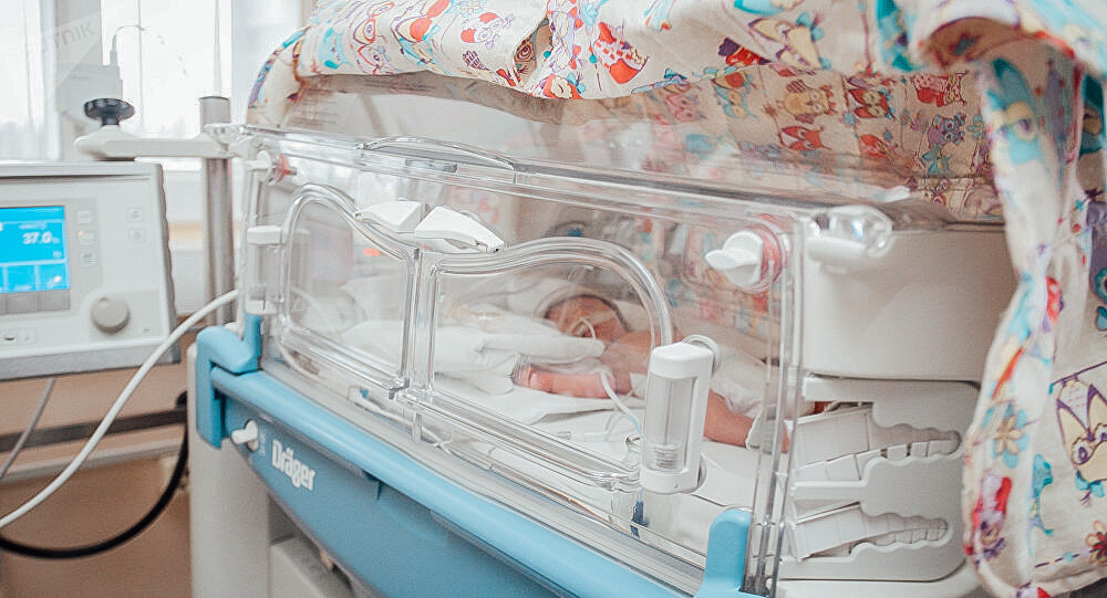 Фото Яндекс. Картинки